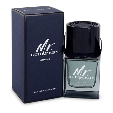 mr burberry 50ml|mr Burberry indigo fragrantica.